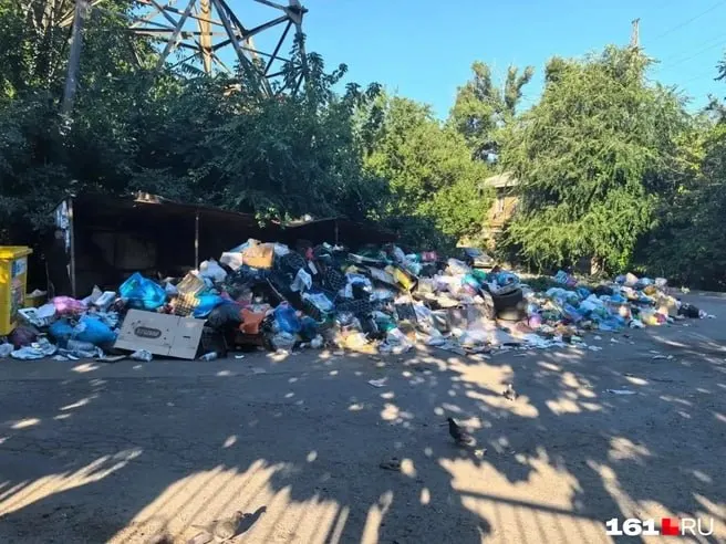 Жители жалуются на переполненные контейнеры и перебои с вывозом отходов; причины — последствия урагана и нехватка техники. Губернатор поручил ежедневно контролировать работу мусоровозов и привлекать дополнительный транспорт.