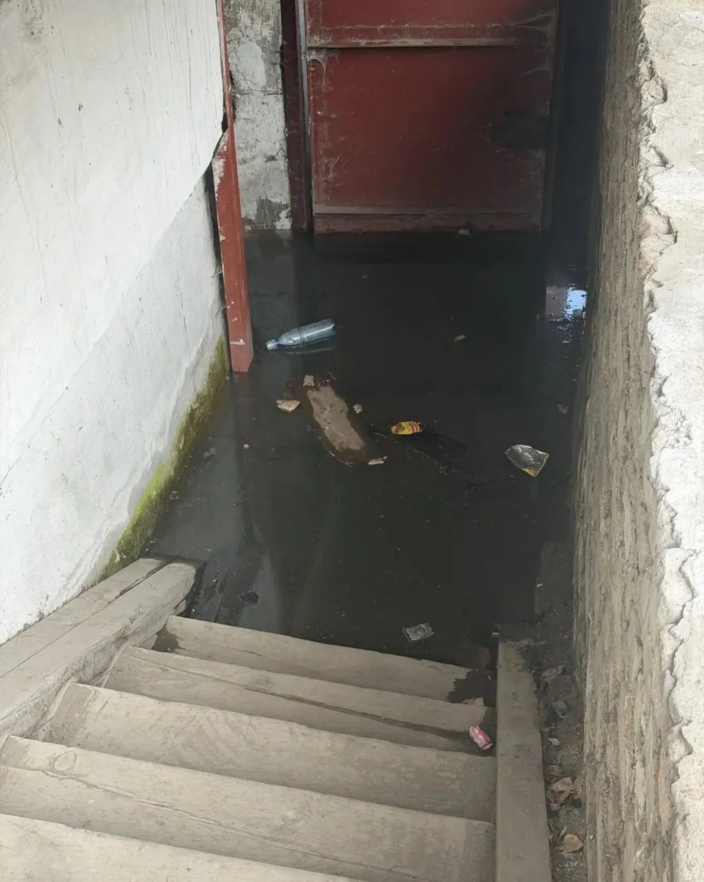 После сильных дождей в подвале одного дома поднялась вода. Жильцы жалуются на запахи, сырость и появление насекомых; отопление частично восстановлено, вопросов к канализации осталось немало.