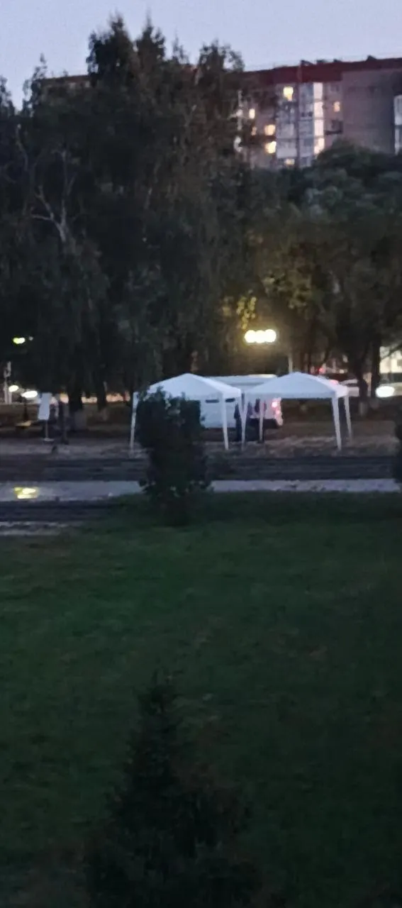 Во время подготовки обновлённого пространства у Лебединого озера мостик отремонтировали, при этом плитку для него взяли с соседней дорожки, и дорожка оказалась частично разобранной.