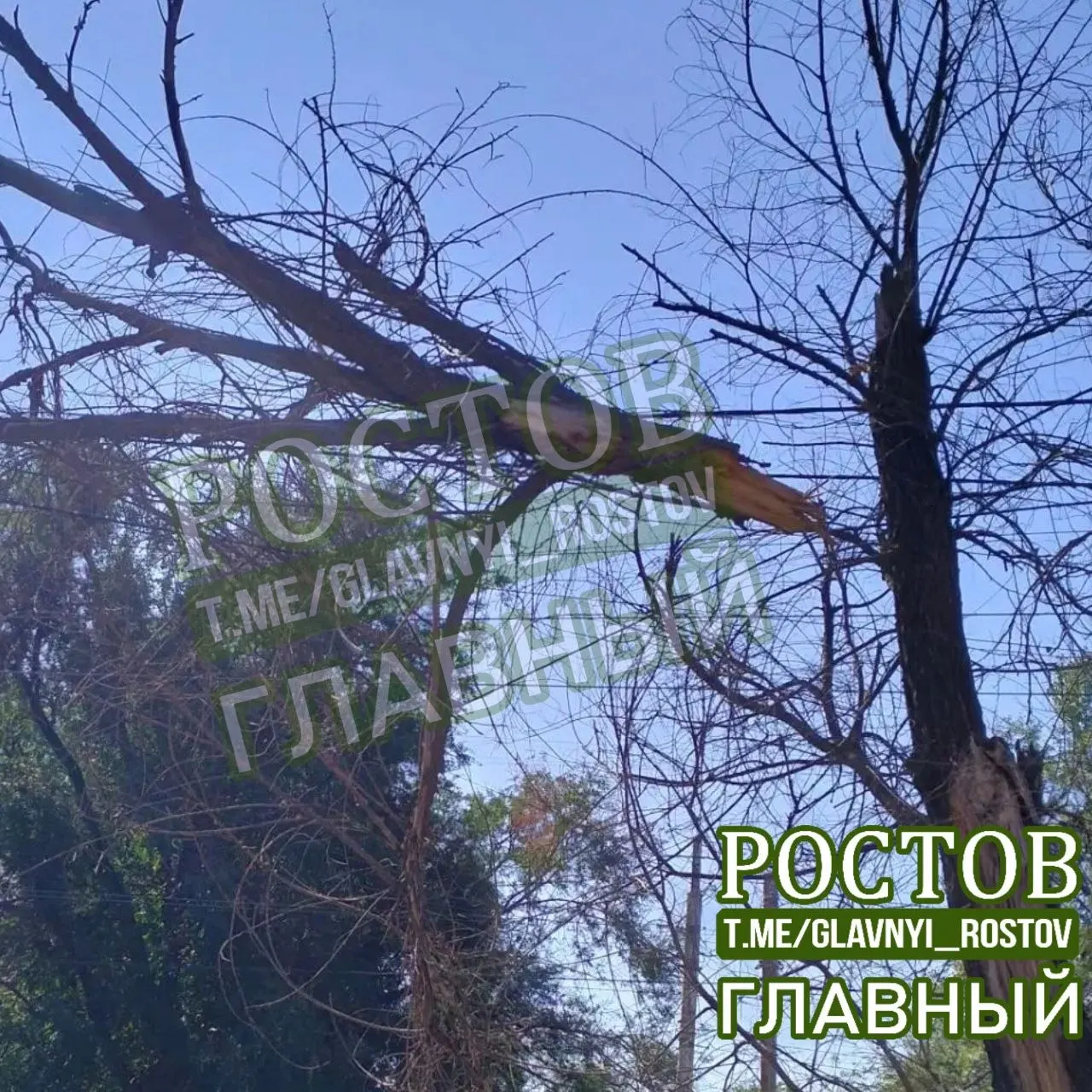 Перед перекрестком на проводах свисает сухая ветка; искрят провода в темноте — ситуация, требующая оперативного реагирования служб.