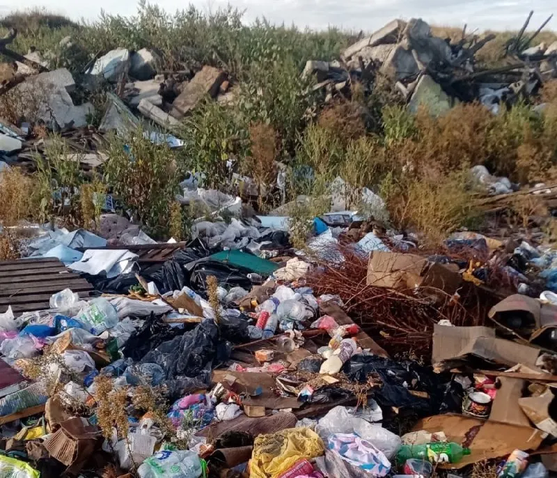 Стихийная свалка в селе Петропавловка вызывает жалобы местных. Власти утверждают, что принимают меры, но ситуация требует контроля.