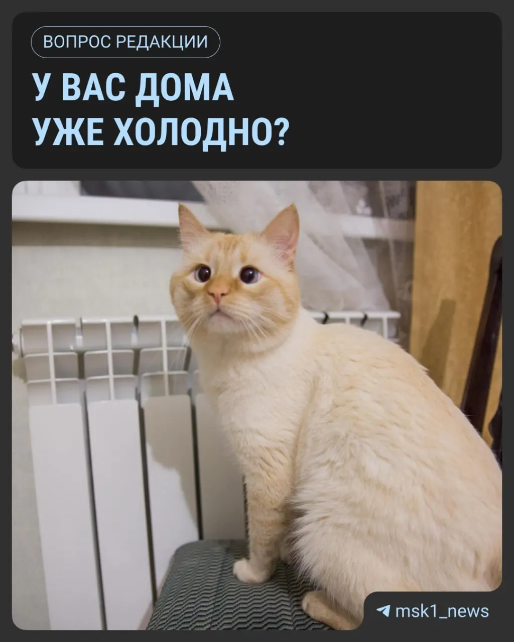 Столичные власти пока не назначили дату запуска отопления; решение зависит от погоды, а тепло подают после пяти дней подряд ниже +8 °C.