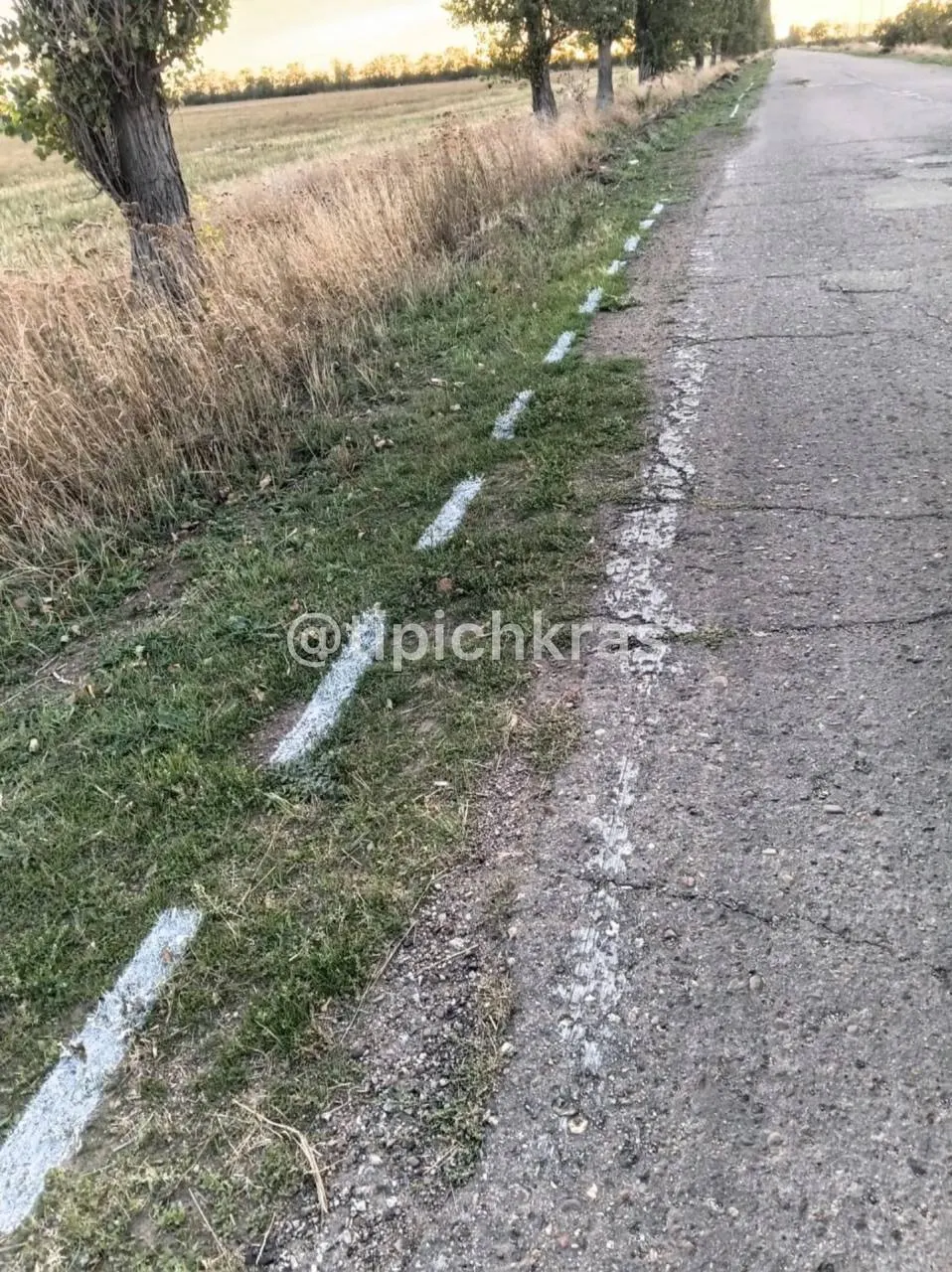 В поселке Большелугский Ейского района власти применили световую разметку, часть линий проведена прямо на обочине — на земле и траве.