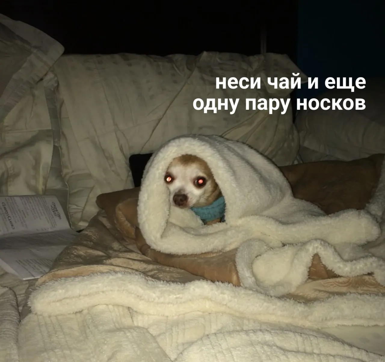 Стартовал отопительный сезон в Нижнем Новгороде. Читатели делятся опытом подачи тепла и задают вопросы.