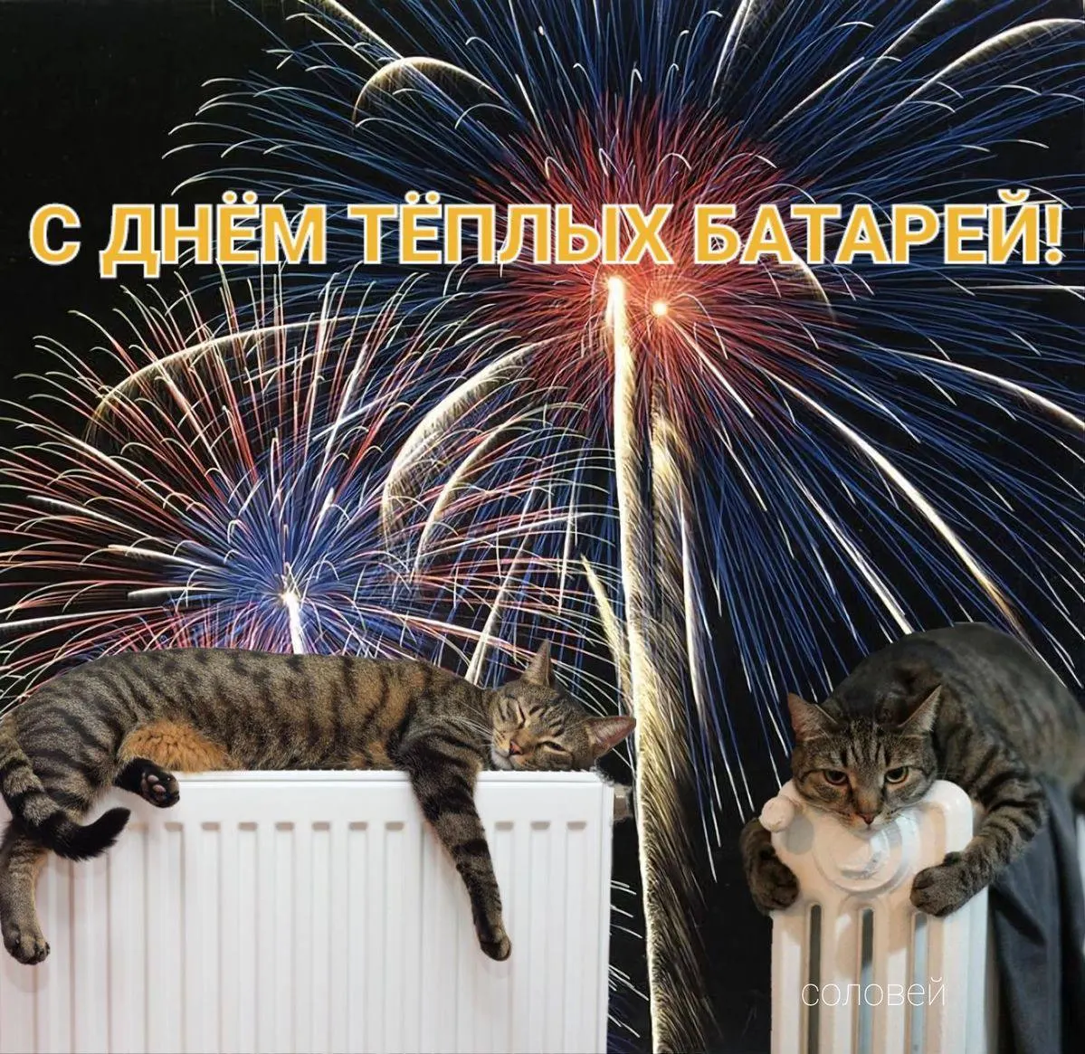 Старт отопительного сезона проходит поэтапно: сначала подключат социальные объекты, затем жилые дома. Жителям — подача заявок через управляющую компанию и возможность скорректировать дату подачи тепла.