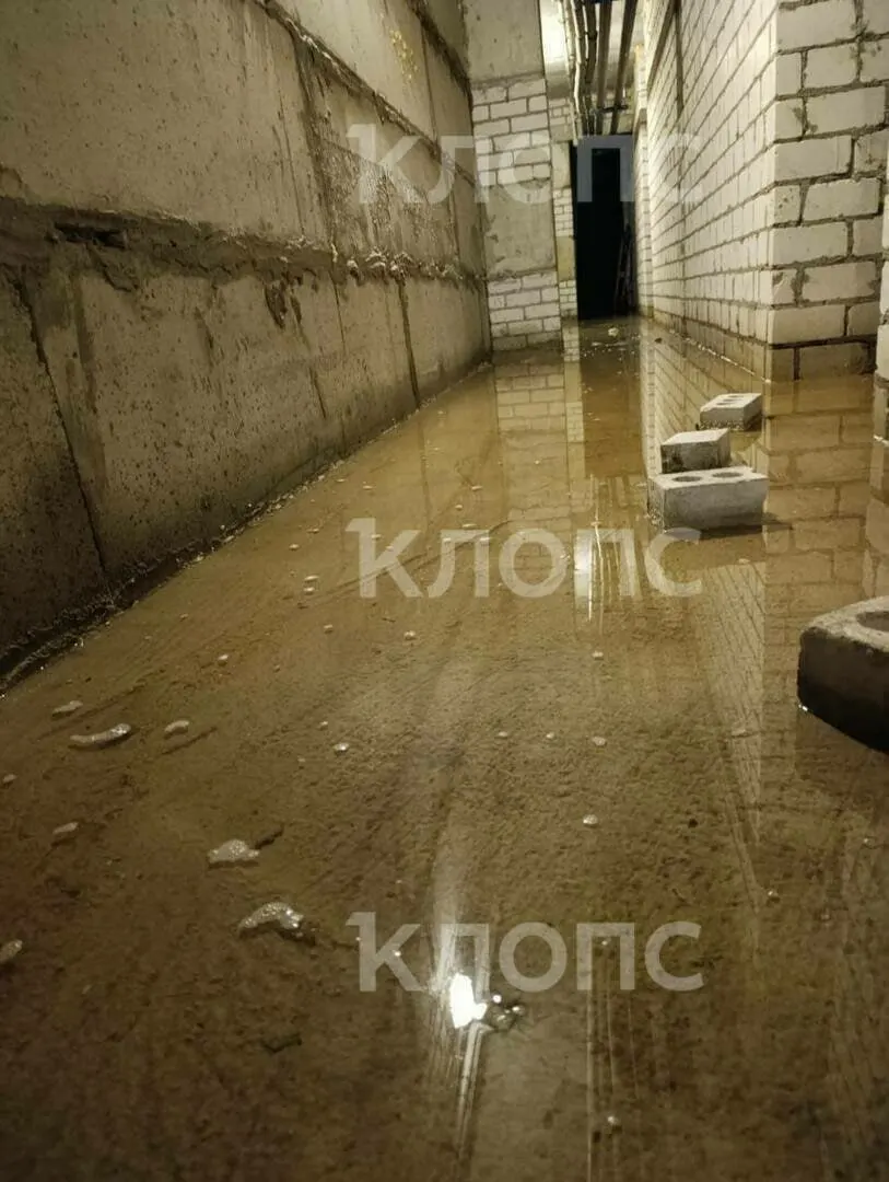 Жители многоквартирного комплекса близ Калининграда борются с протечками и требуют ускорить капитальный ремонт крыш.
