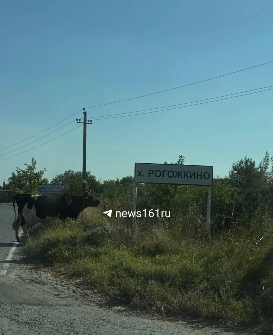 Ремонт двухкилометрового участка трассы Ростов — хутор Рогожкино планируется за счет выделенных 81,7 млн рублей и должен завершиться до 23 декабря. Дорога пострадала в 2023 году из-за действий военной техники; суд подтвердил повреждения, ремонт возложили на местную администрацию.