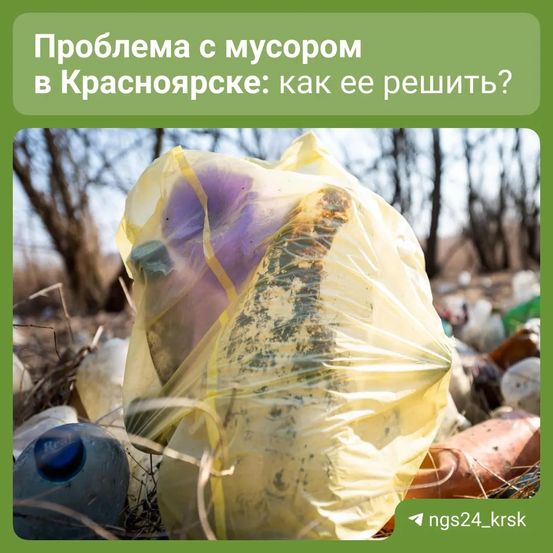 Инициатива предусматривает перерасчет платы за услугу вывоза мусора, если она не была оказана, и расширение контроля на проблемных участках.