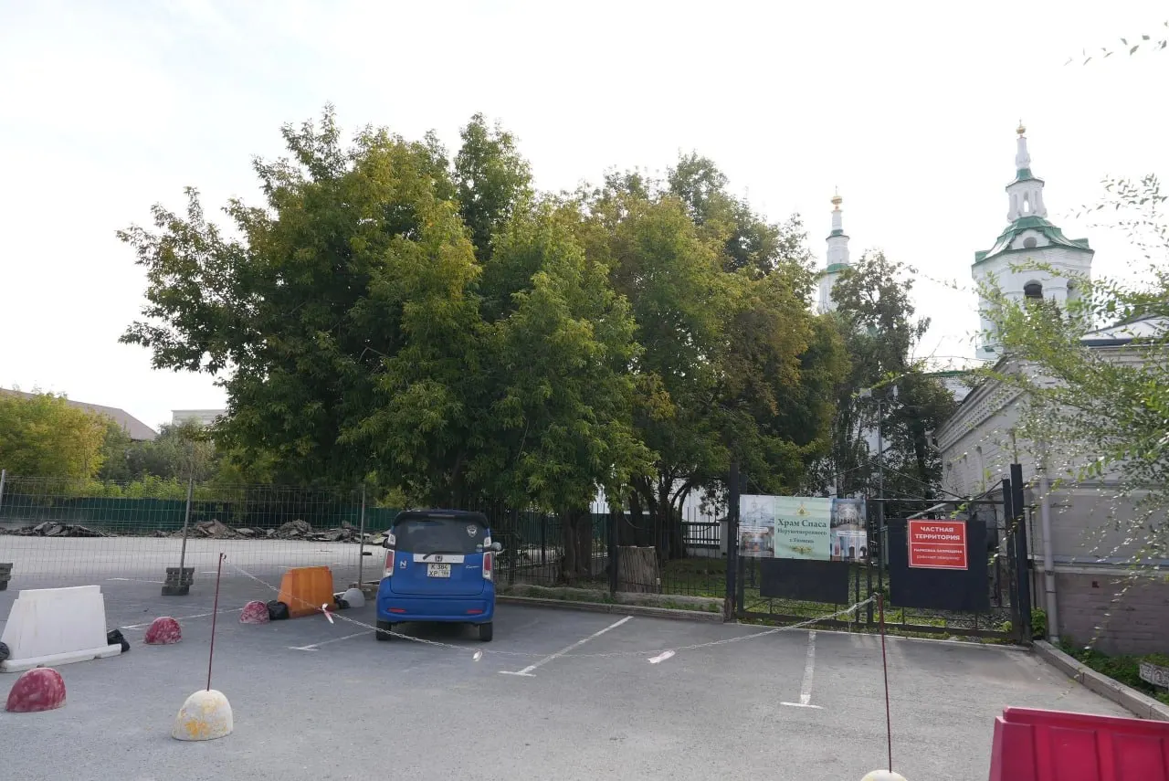 В рамках проекта по благоустройству городского сквера планируется создание зелёной зоны в центре города.