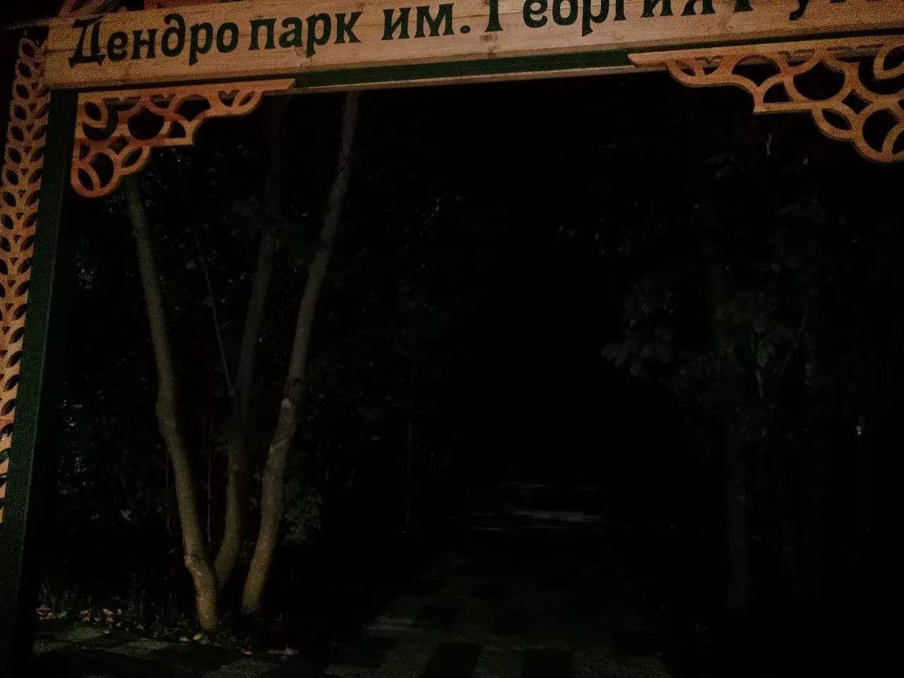 Освещение дендропарка не передано на баланс города, в связи с чем фонари остаются неработающими после завершения работ.
