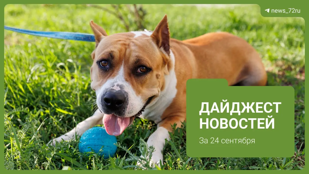 Главные события дня: авария на Ялуторовском тракте, ремонт подземных переходов и планы реновации в центре города.