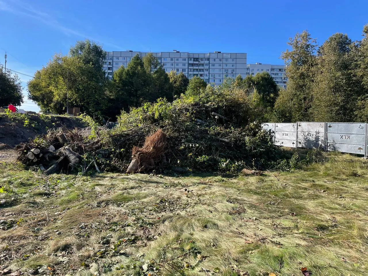 В Москве в Строгино жители сообщают об массовой вырубке деревьев в зелёной зоне парка и обсуждают планы проложить новую дорогу к недавно реконструированным очистным сооружениям. Вопрос безопасности поднимается из-за близости ветки метро.