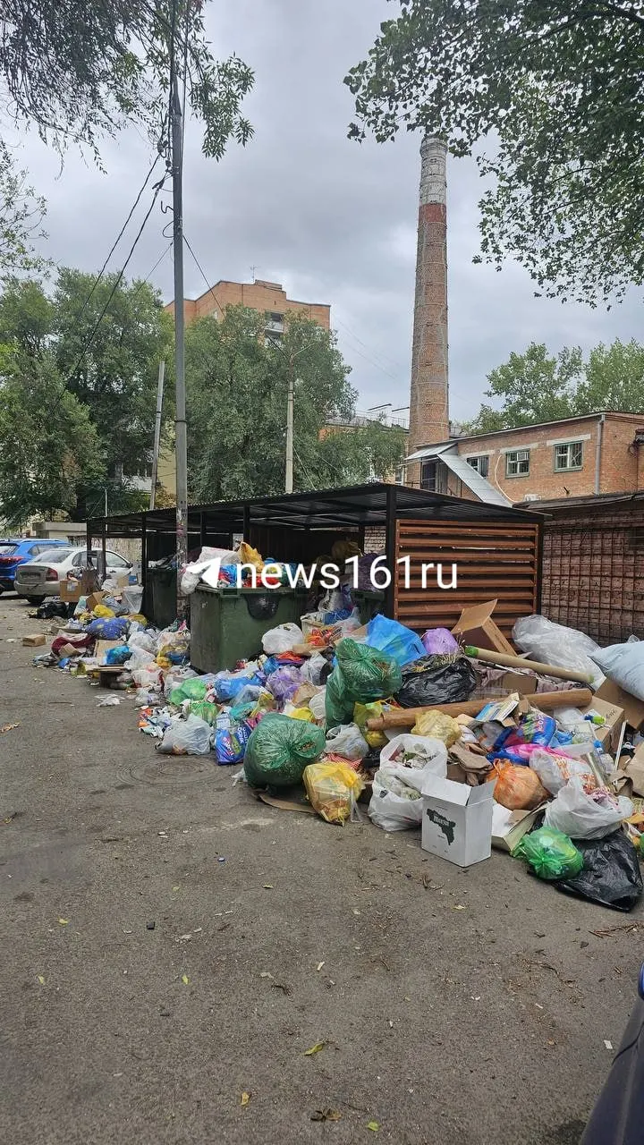 Контейнерная площадка на ул. Дранко, 139 переполнена, отходы лежат вокруг; в районе сообщают о появлении крыс и тараканов. Жители обращались, но реакции пока нет.