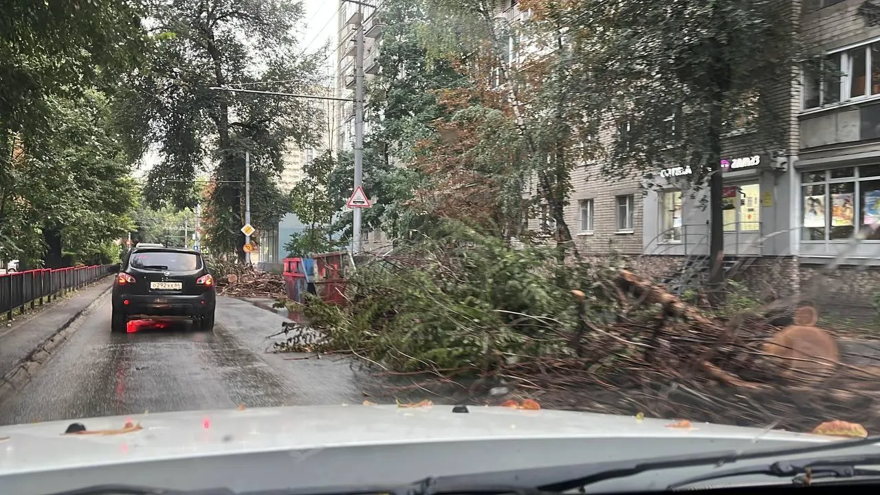 Читатели жалуются на то, что спиленные деревья и ветки остаются на дороге, что затрудняет движение по улице Рахова.