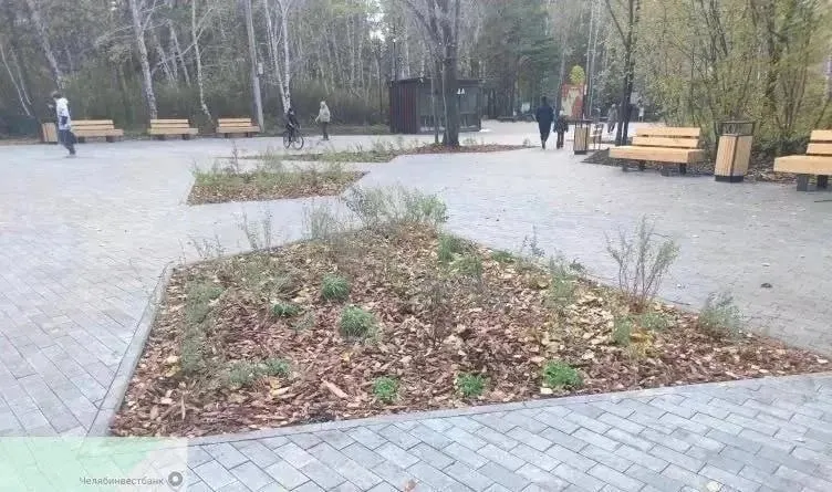 Администрация заявила об окончании высадки растений; подрядчик пока устраняет недоработки, работы не приняты и не оплачены. Растения, посаженные весной, будут обследованы и при необходимости заменены по гарантии.