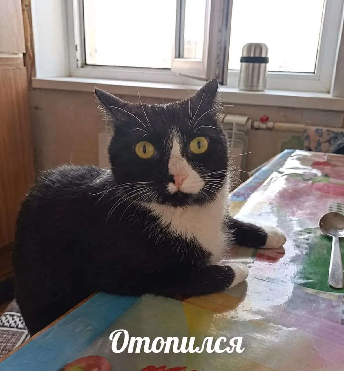Прогрев займет до трёх суток; в период 7–15 октября БашРТС проведёт плановые проверки отопительных сетей.