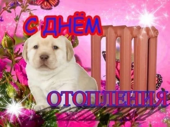 С начала октября тепло подают в образовательные и медицинские учреждения, затем — в жилые дома.