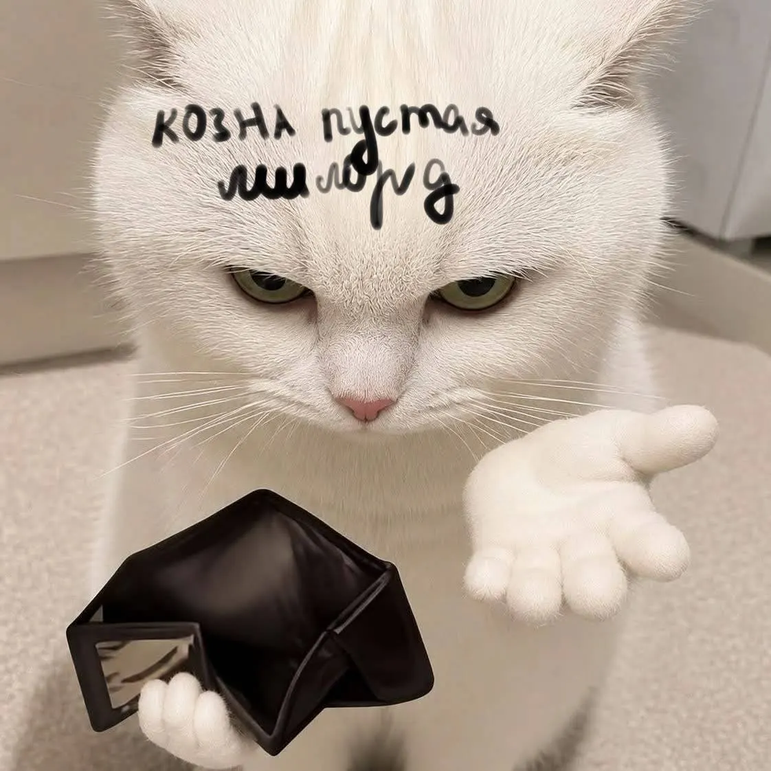 С сегодняшнего дня тарифы на коммунальные услуги выросли: вода, свет, отопление и вывоз мусора. В Екатеринбурге рост ощутим на нескольких позициях.