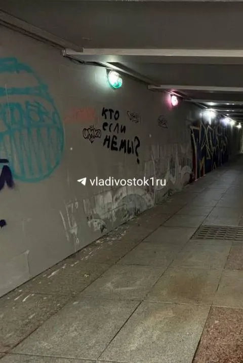Подземный переход у Покровского парка снова стал объектом граффити; местные власти работают над уборкой и усилением контроля.