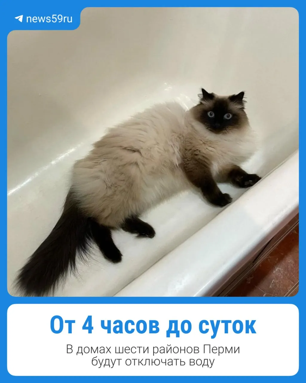 В Перми в ближайшие две недели запланирован ремонт сетей — временно отключат холодную воду в десятках домов. Публикуем график работ и адреса.