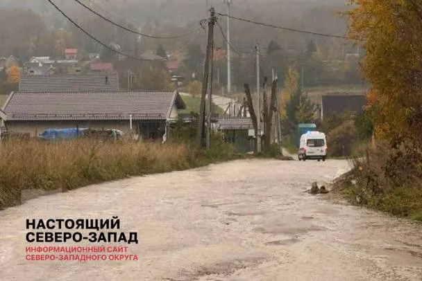 Жители деревни Михайловская и соседних садоводческих товариществ Ленобласти жалуются на разбитую дорогу к массиву «Новая Ропша»: на участке около 200–300 метров — ямы и просадки, машины цепляют днище и рискуют застрять после дождей и морозов.