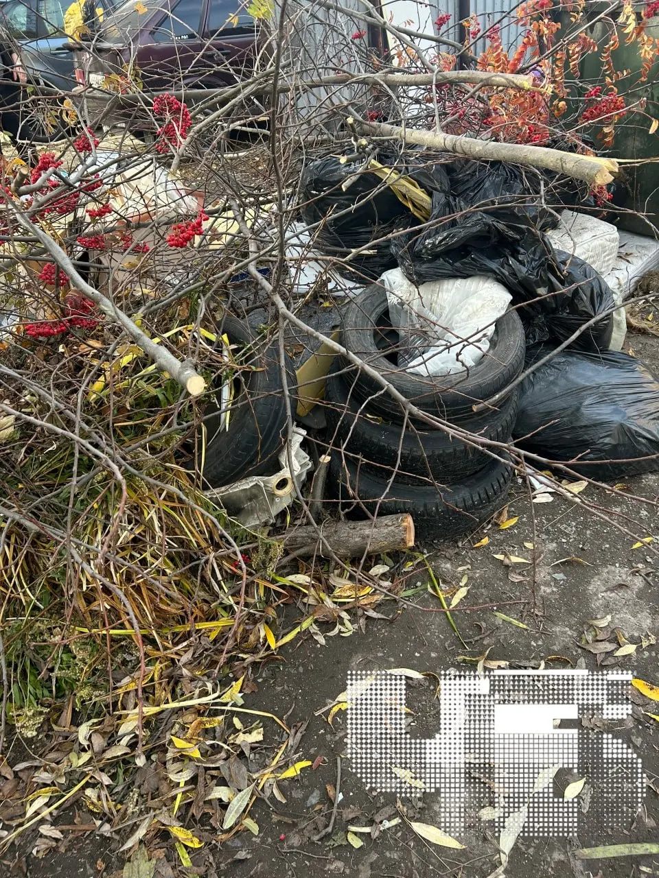 Жители Октябрьского жалуются на скопление крупногабаритных отходов: вывоз мусора остановлен более чем на месяц.