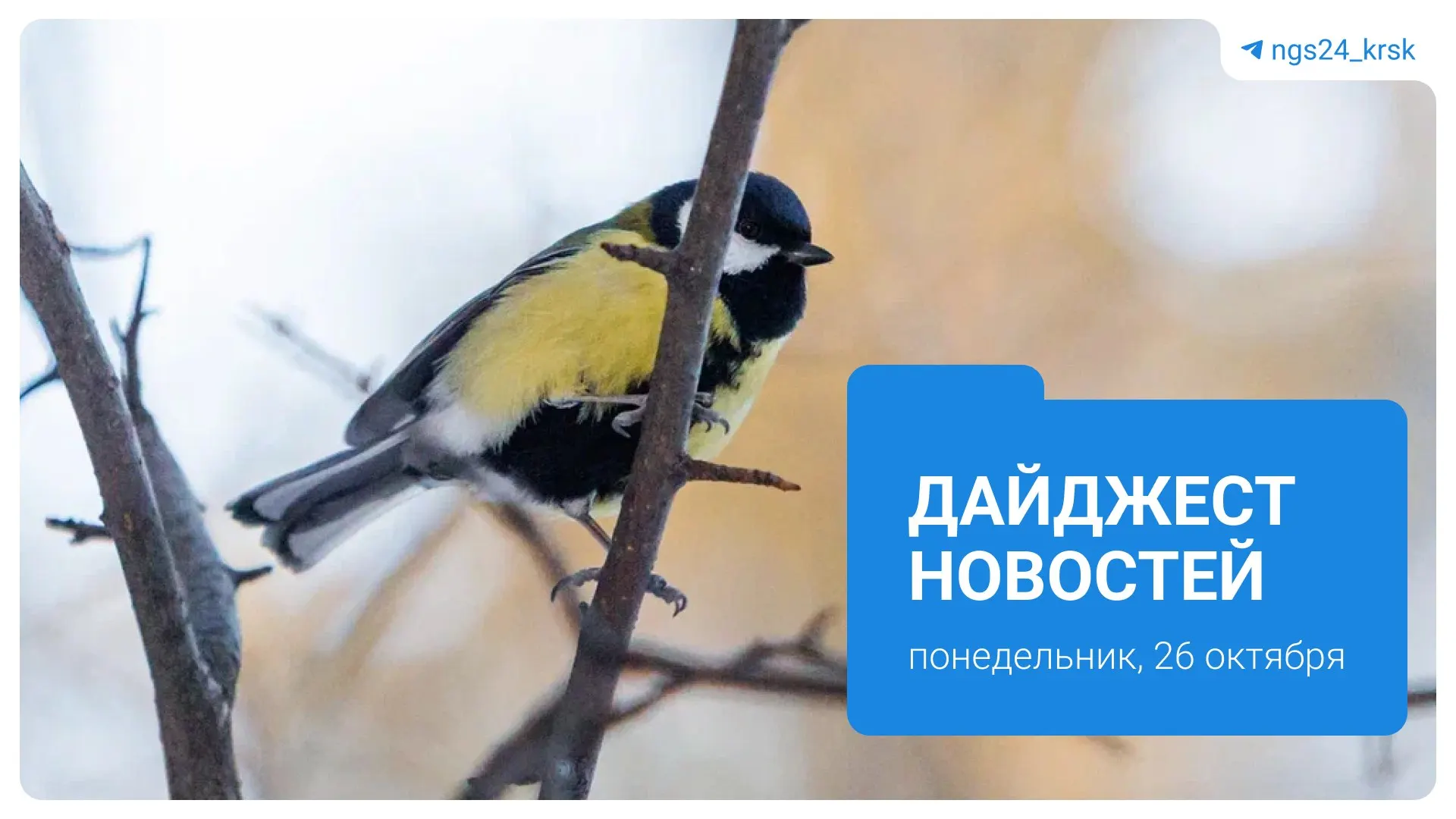Крупные события региона: реформы в системе здравоохранения, вопросы поставок продуктов, помощь пострадавшим, инциденты и обновления в спорте.