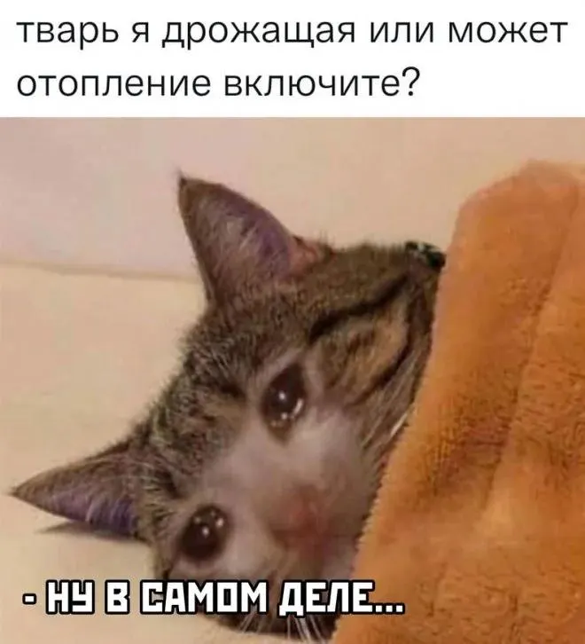 Холод в квартирах и учебных заведениях продолжает держаться, отопление по-прежнему не введено во многих районах Челябинска.