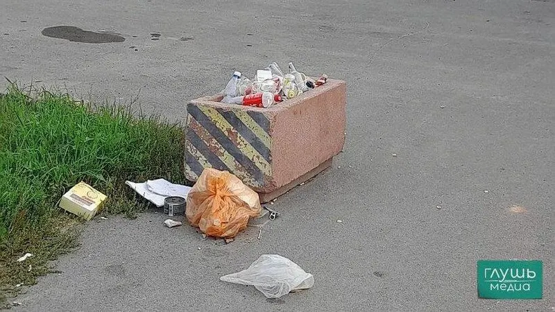 Массовый субботник пройдет в регионе в рамках месячника по благоустройству; жители будут приводить улицы в порядок и благоустраивать общественные территории.