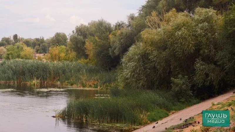 Завершилась осенняя закачка воды в водоёмы в четырех районах Саратовской области; заполнение продолжается в Ершовском, Александрово-Гайском, Новоузенском и Питерском районах.